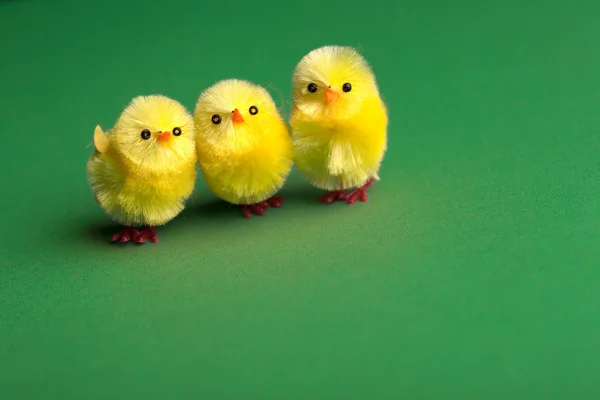 Pollos divertidos — Foto de Stock