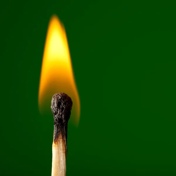 Burning match on green — Stock Photo, Image