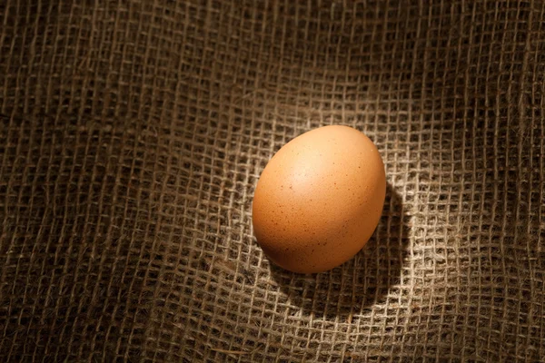Κοτόπουλο αυγό — Φωτογραφία Αρχείου