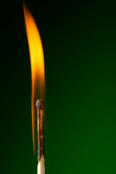 Fiammifero ardente su verde — Foto Stock