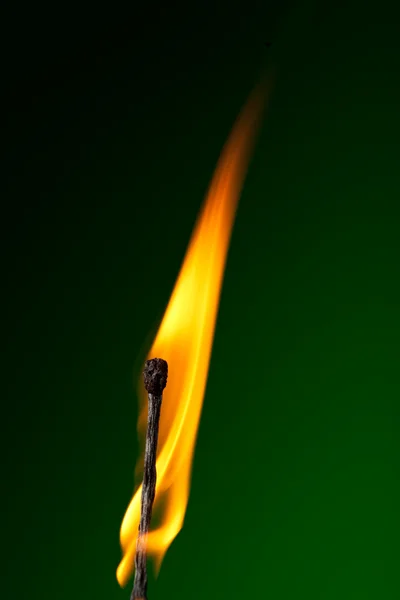 Brennendes Streichholz mit Flammenzunge auf Grün — Stockfoto
