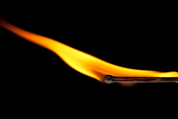 Zündhund mit Flammenzunge auf schwarz — Stockfoto