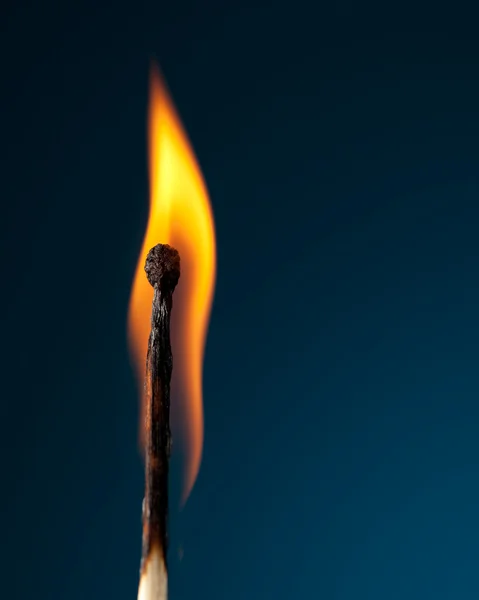 Burning match with tongue of flame on blue — Stock Photo, Image