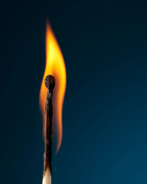 Brennendes Streichholz mit Flammenzunge auf blauem Grund — Stockfoto