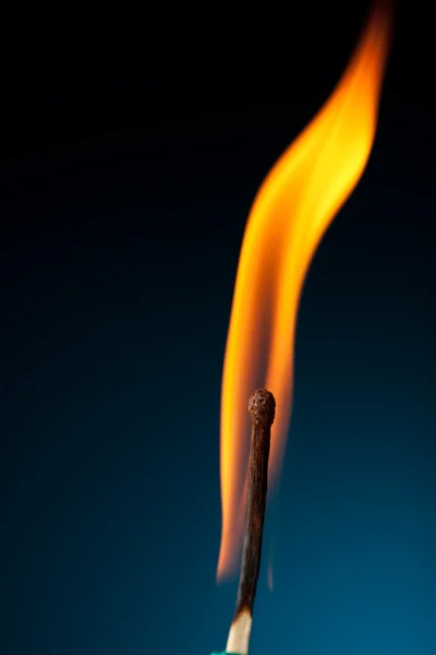 Brandende lucifer met tong van vlam op blauw — Stockfoto