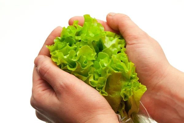 Hände, die Salat halten — Stockfoto