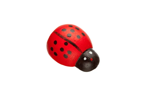 Ladybug isolated — Stock Photo, Image