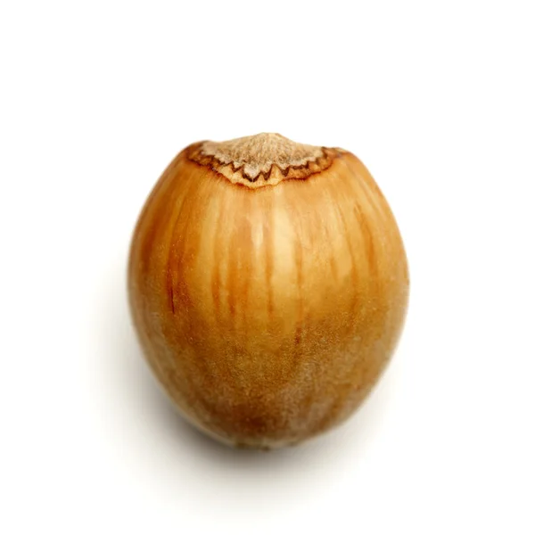 Hazelnut on white — Stock Photo, Image