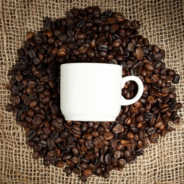 Beyaz fincan ve kahve çekirdekleri — Stok fotoğraf
