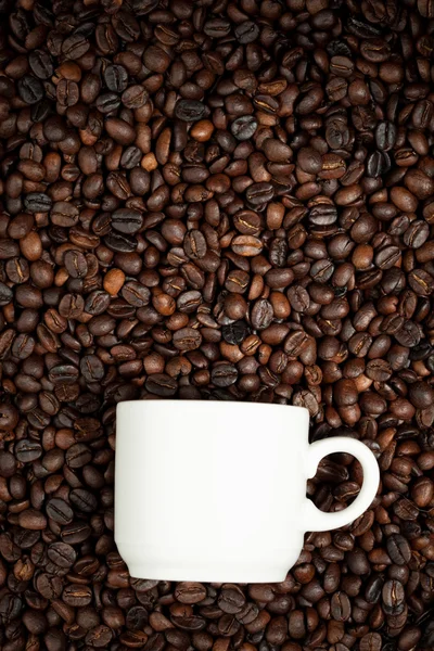 Біла чашка на фоні кавових зерен — стокове фото