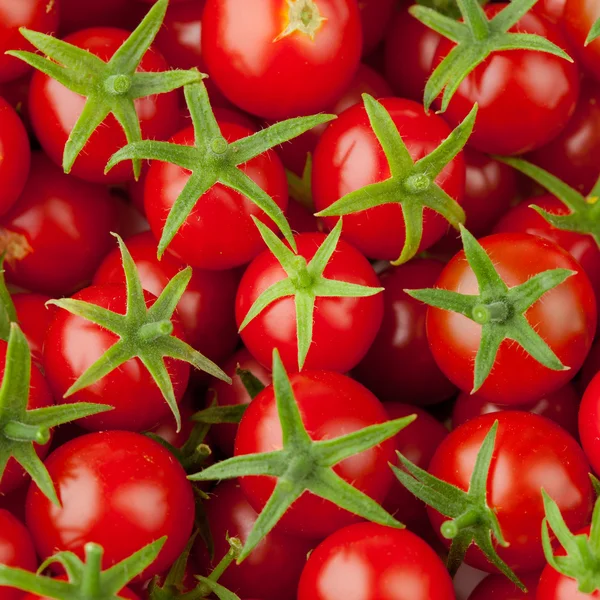 Velké cherry rajčat — Stock fotografie