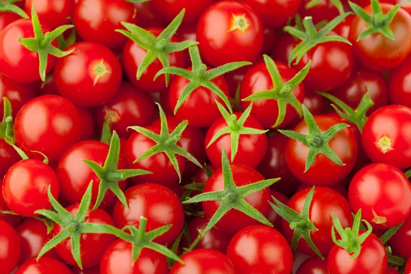 Velké cherry rajčat — Stock fotografie