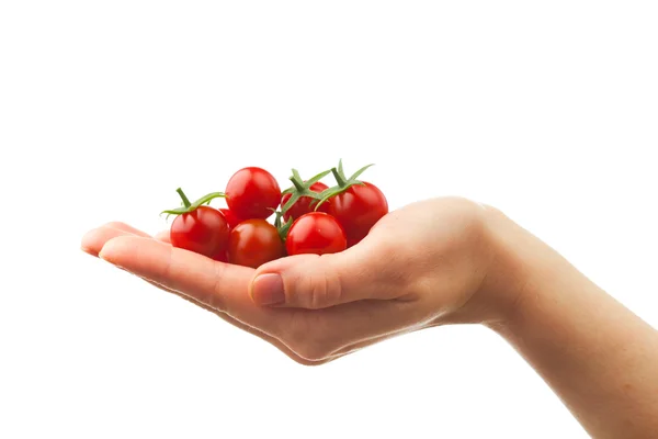 Mano che tiene pomodori ciliegia freschi — Foto Stock