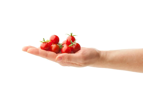 Рука тримає свіжі вишневі помідори — стокове фото