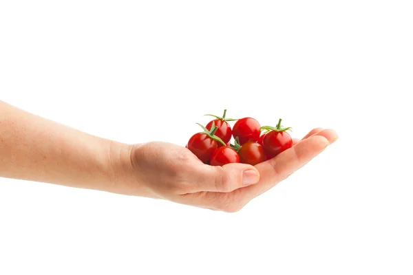 Ruka držící čerstvých cherry rajčátky — Stock fotografie
