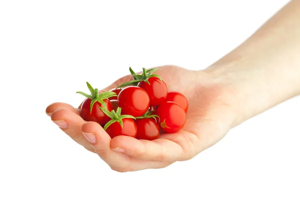 El tutarak taze kiraz domates — Stok fotoğraf