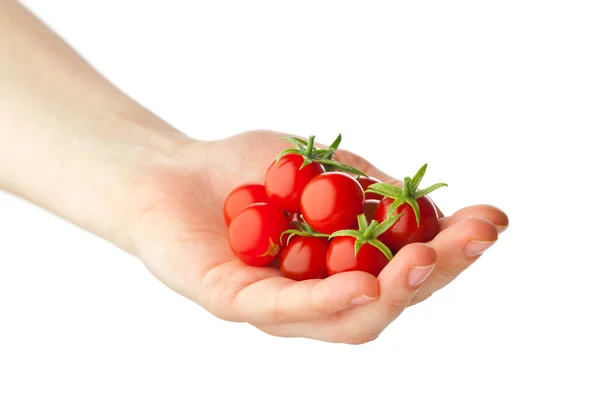 Hand met verse cherry tomaten — Stockfoto