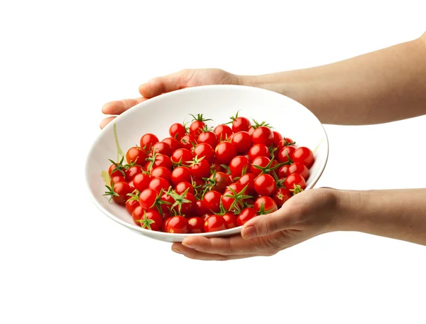 Mains tenant une assiette avec des tomates — Photo