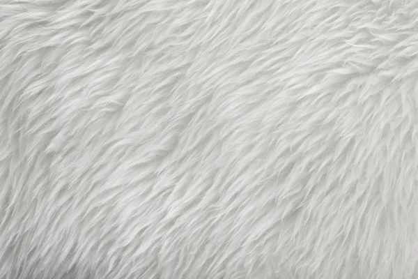 Λευκό γούνα υφή φόντο — Φωτογραφία Αρχείου