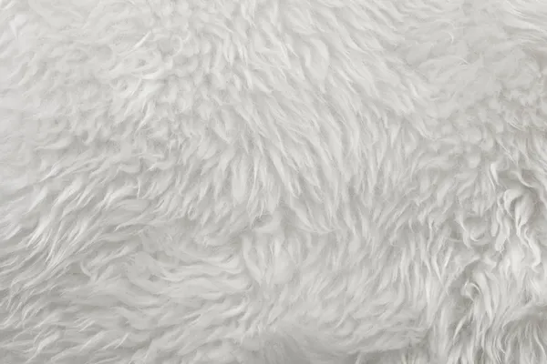 白い毛皮 — ストック写真