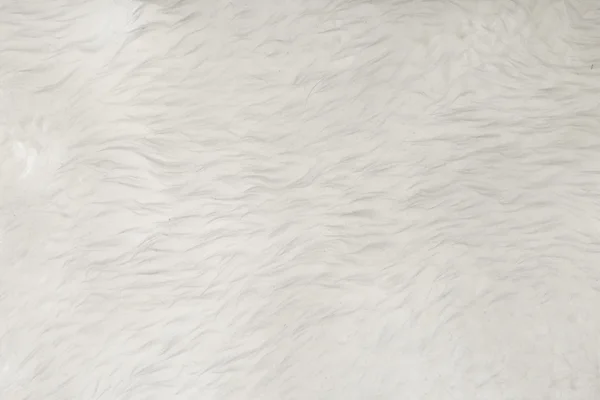White fur texture