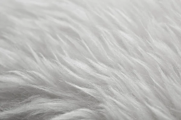 Bianco pelliccia texture sfondo — Foto Stock