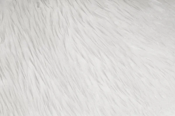 Texture de fourrure blanche — Photo