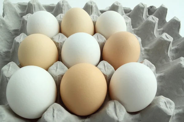 Ovos de galinha no recipiente — Fotografia de Stock