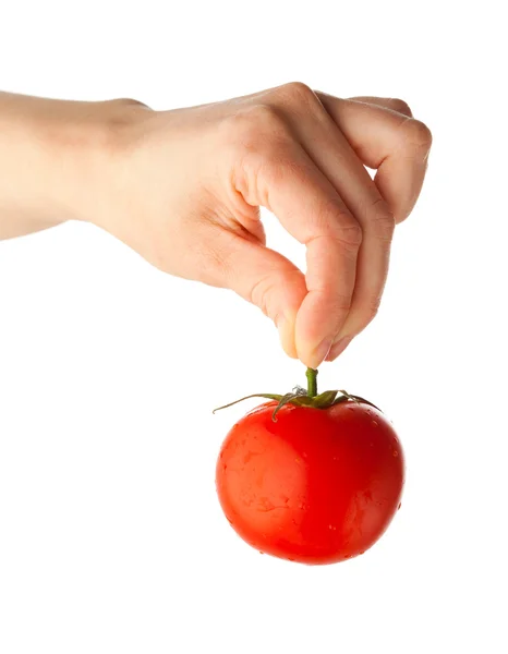 Рука держа свежий помидор, изолированный на белом — стоковое фото