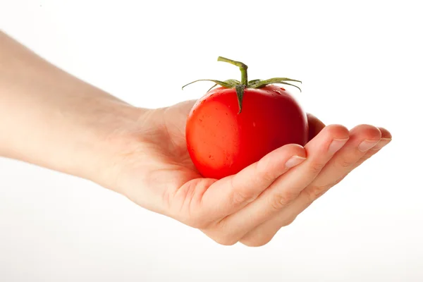 新鮮なトマト、白で隔離される持っている手 — ストック写真