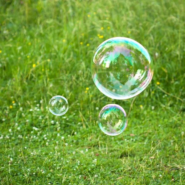 Tvål bubblor mot gräset bakgrund — Stockfoto