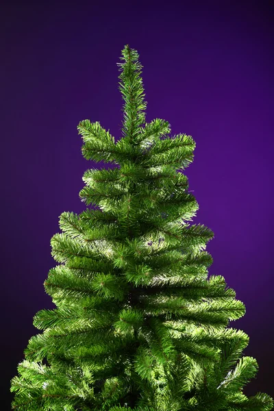 无装饰的圣诞树 — 图库照片