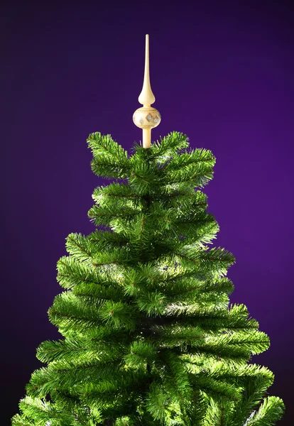 Juletræ uden dekorationer - Stock-foto