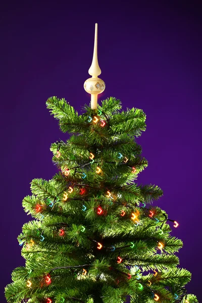 Juletræ - Stock-foto