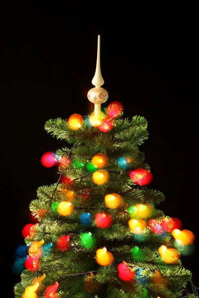 Juletræ - Stock-foto