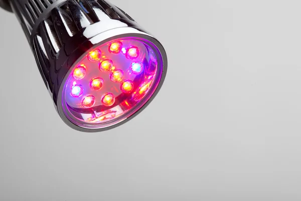 LED-Lampe für den Pflanzenanbau — Stockfoto