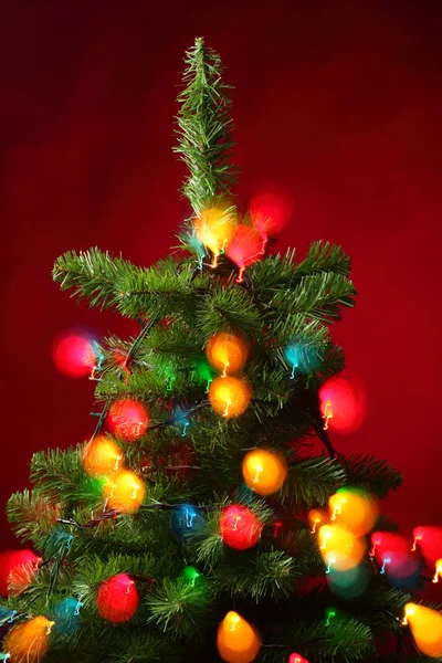 Рождественская ёлка — стоковое фото