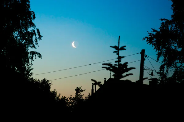 Silueta de noche — Foto de Stock