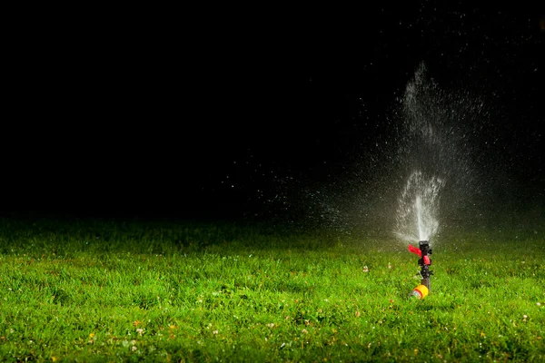 Газонный дождеватель, брызгающий водой на зеленую траву ночью — стоковое фото