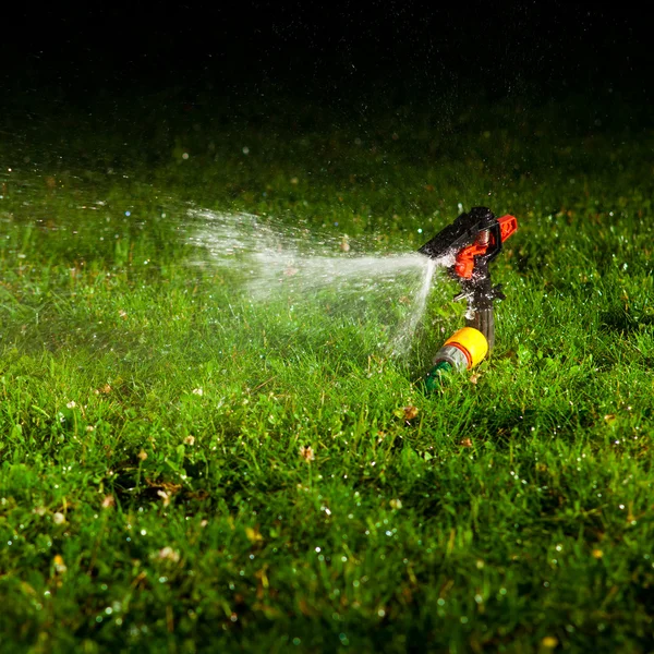 Aspersão de gramado pulverizando água sobre grama verde à noite — Fotografia de Stock