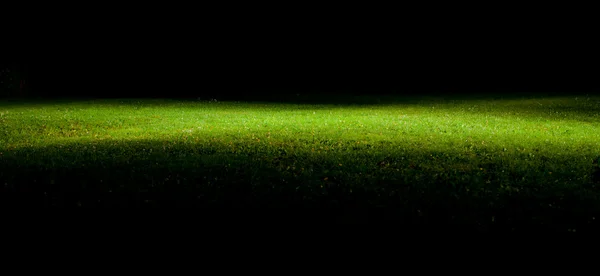 Зеленая лужайка ночью — стоковое фото