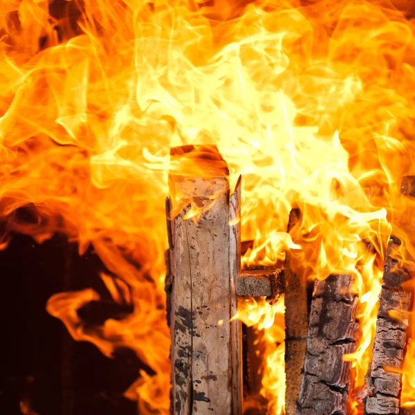 Bruciare i tronchi — Foto Stock