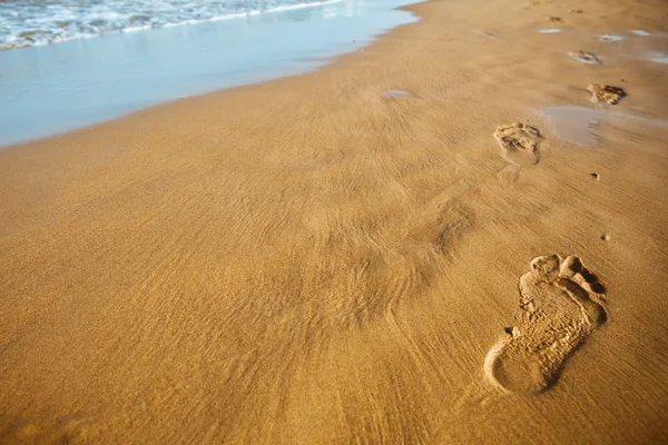 모래 위의 발자국 — 스톡 사진