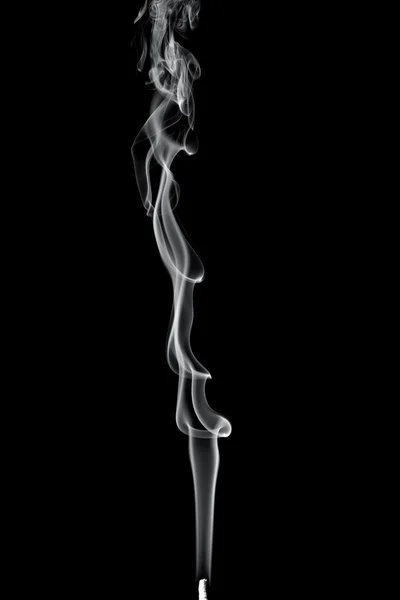 Rook geïsoleerd op zwart — Stockfoto