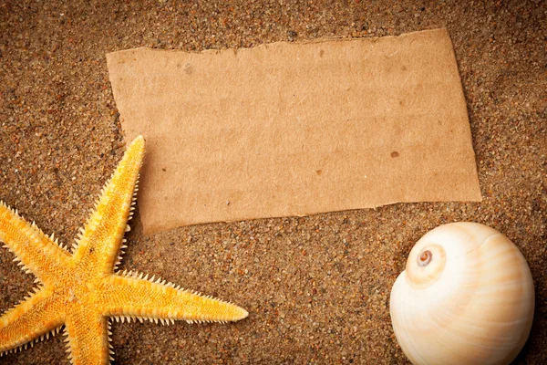 Karton, deniz yıldızı ve shell Beach arka plan — Stok fotoğraf
