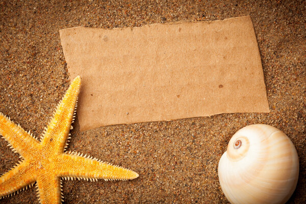 Beach background with cardboard, sea star and shell
