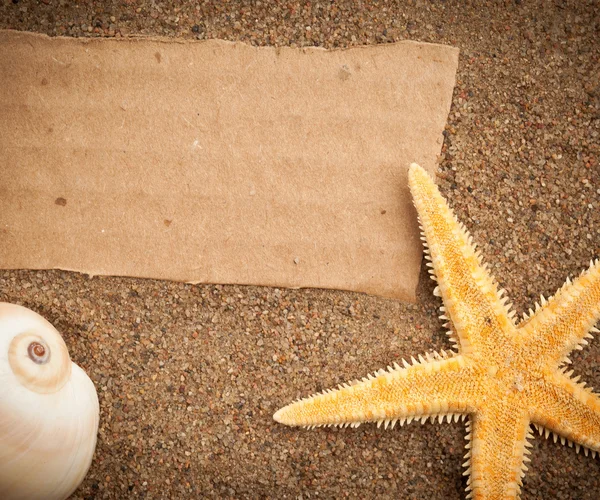 Papelão na praia com estrela do mar e concha — Fotografia de Stock