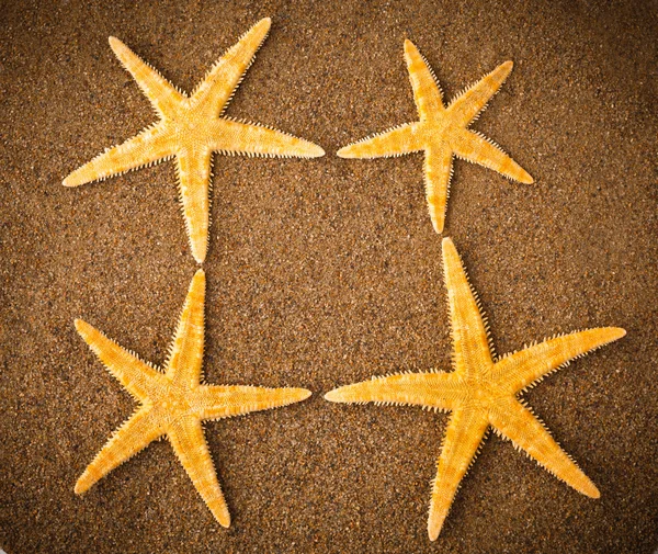 Mořské hvězdy nebo starfishes sjednoceni v rámu na písku — Stock fotografie
