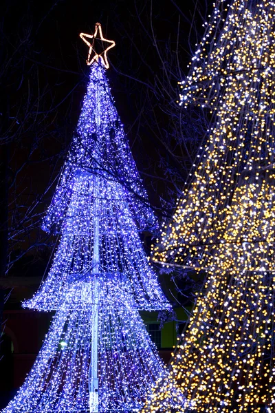 Illuminated Christmas trees — Stock Photo, Image