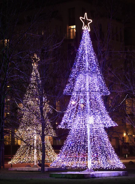 Árboles de Navidad iluminados — Foto de Stock